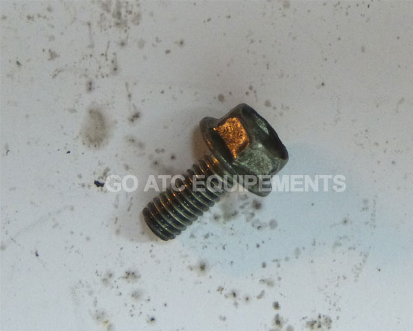 Plate bolt used Honda 125M - TRX 125