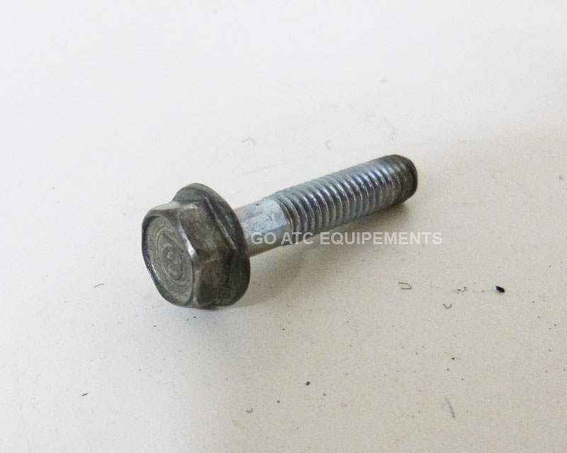 Bolt used HONDA 250ES 1985-87