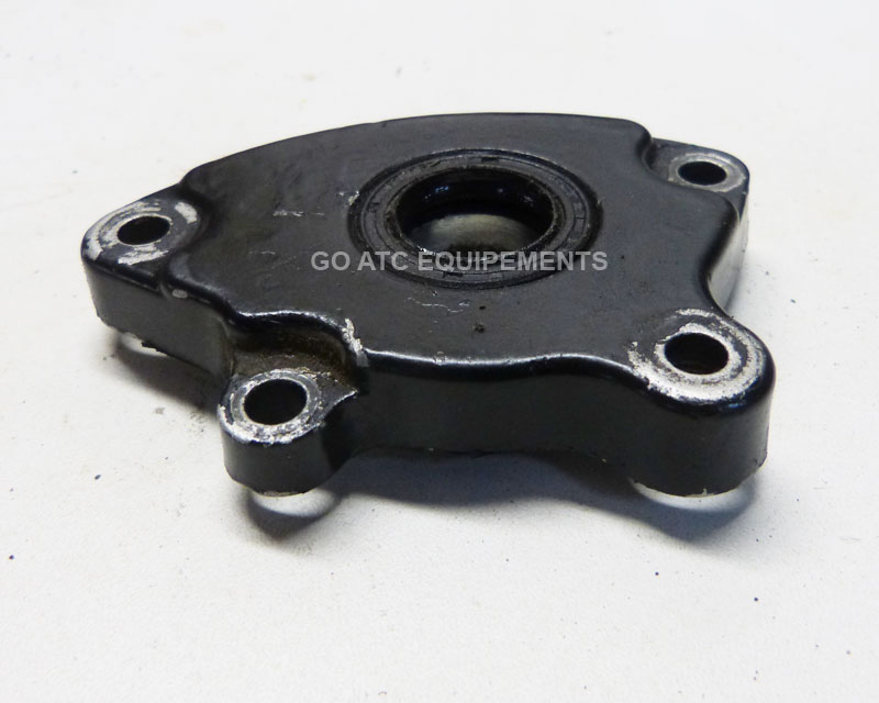 Carter de kick Occasion YAMAHA Tri-z 250 – Image 4