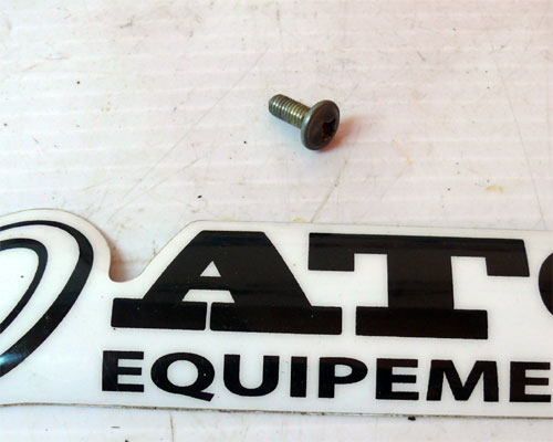 Screw side cover Used ATC YAMAHA YT175