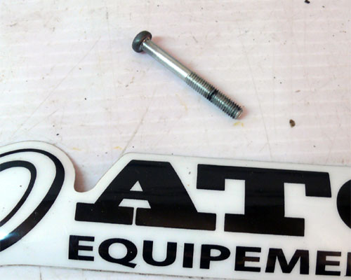 Bolt cover crankcase Used ATC YAMAHA YT175