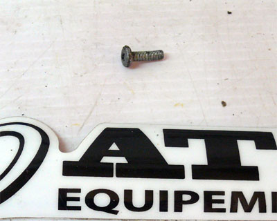 Screw cap Used ATC YAMAHA YT175