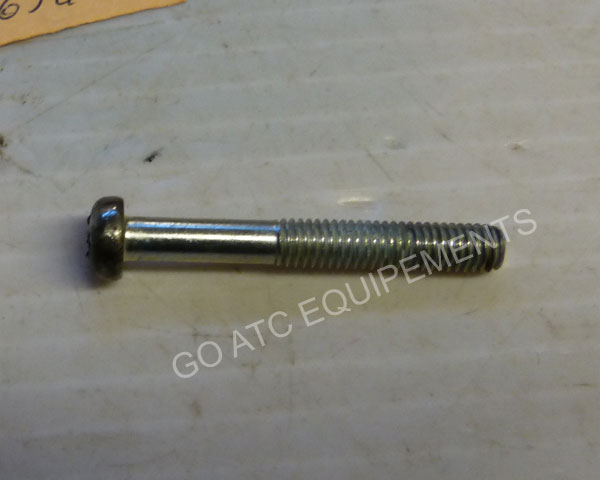 Screw USED ATC YAMAHA YT 60 trizinger
