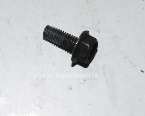Boulon carter Occasion ATC YAMAHA YT60 trizinger